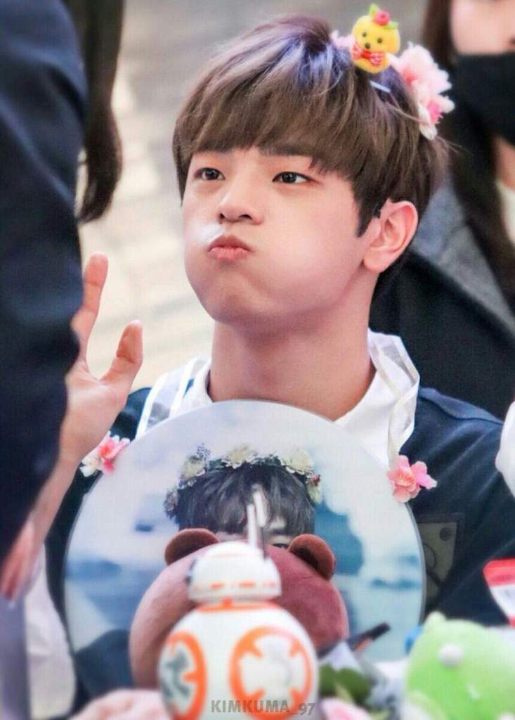 Woojin (el osito) | Wiki | •Stray Kids• Amino