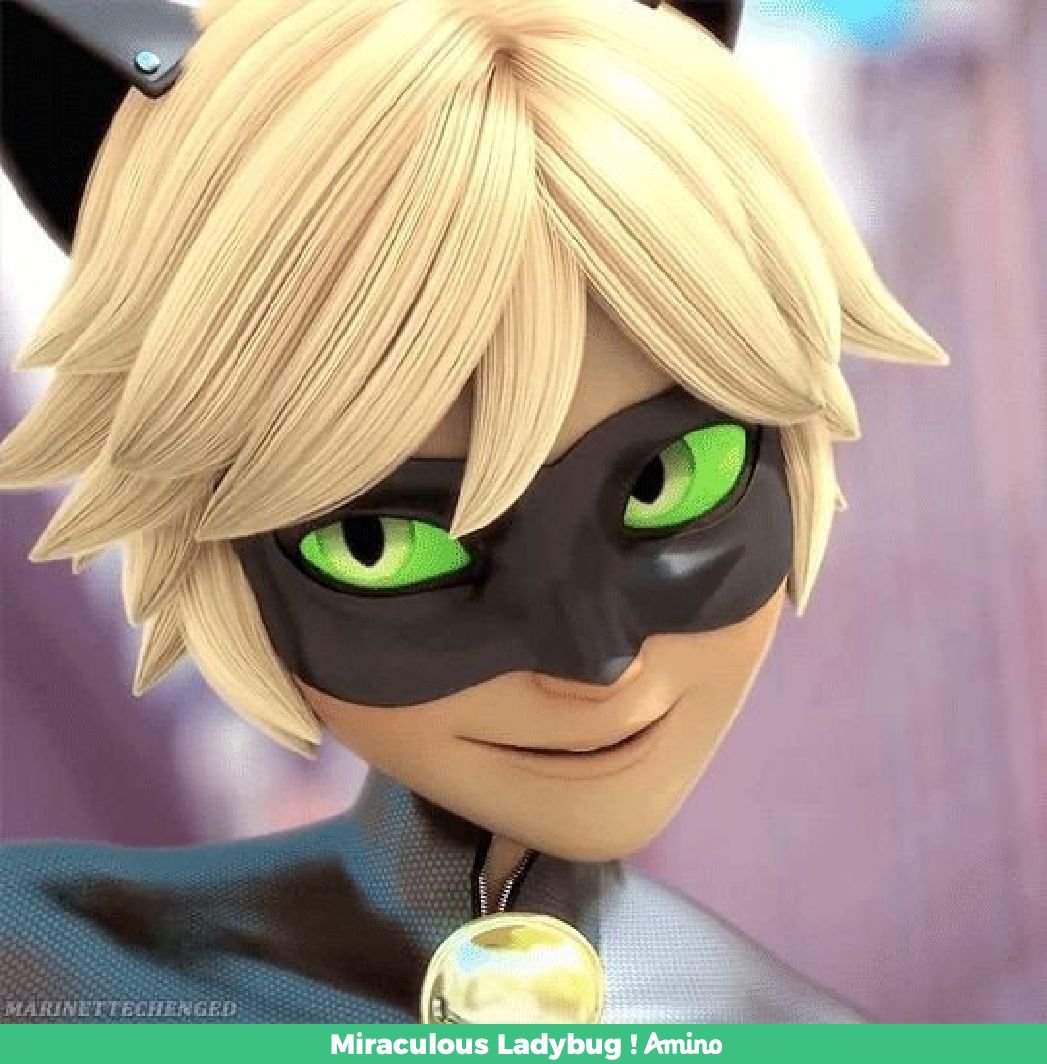 Cat noir | Wiki | Miraculous Ladybug ! Amino