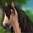 amino-Mapleton Leaf Stables-b0b932ea