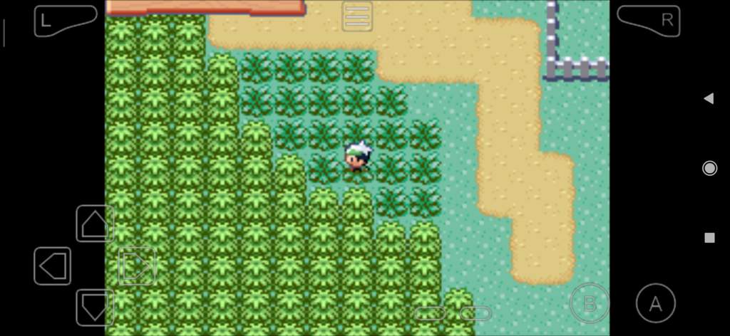 На каком уровне эволюционирует тейлоу pokemon emerald