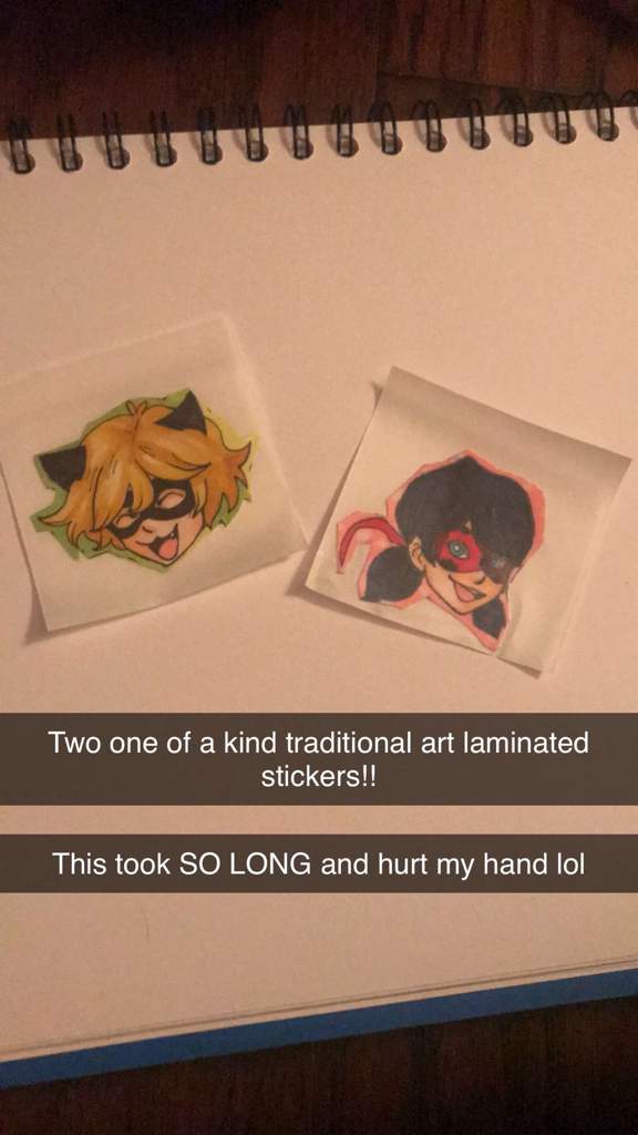 miraculous ladybug stickers miraculous amino
