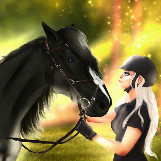 Do you like this picture?? | Star Stable Online Amino