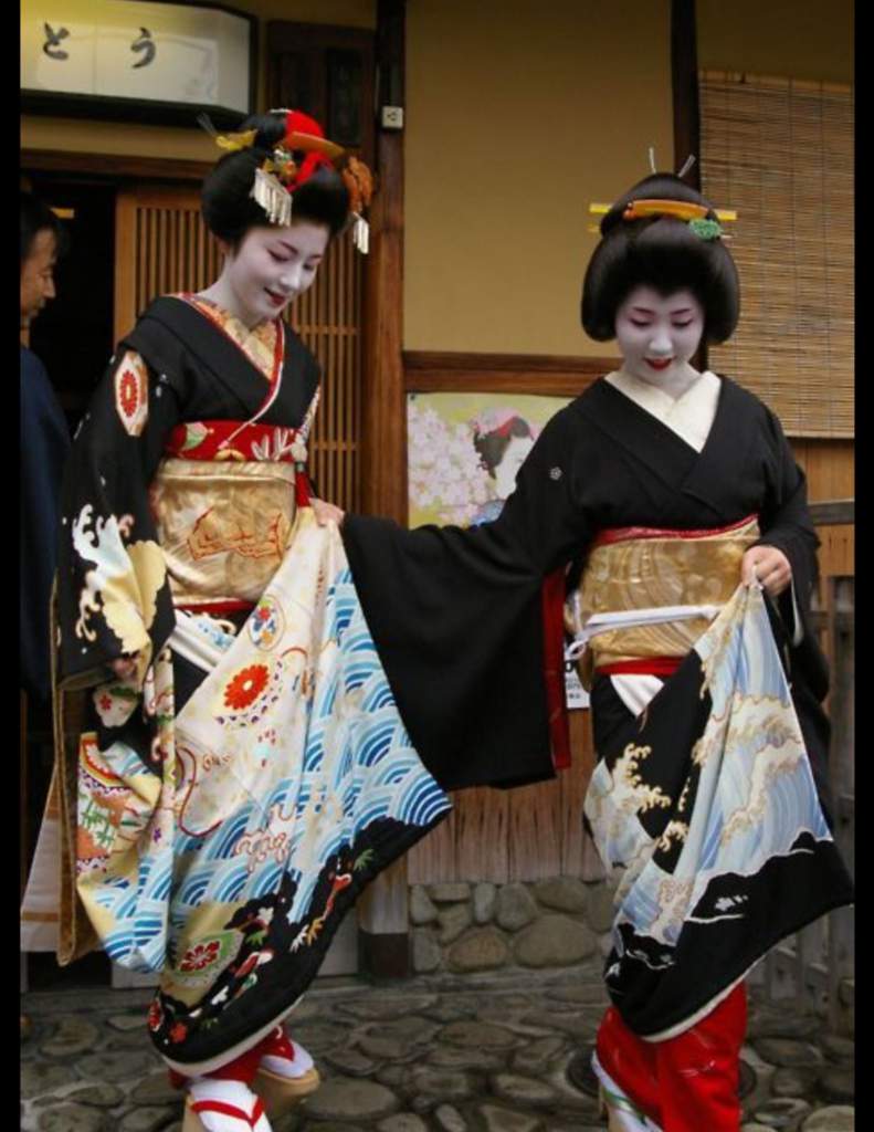 The Journey of a Geisha: From Shikomi to Geiko