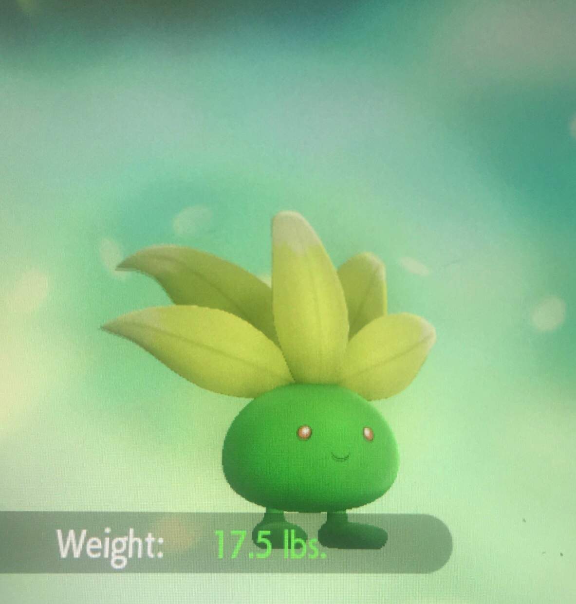 Shiny Oddish!! | Shiny Pokemon Amino Amino