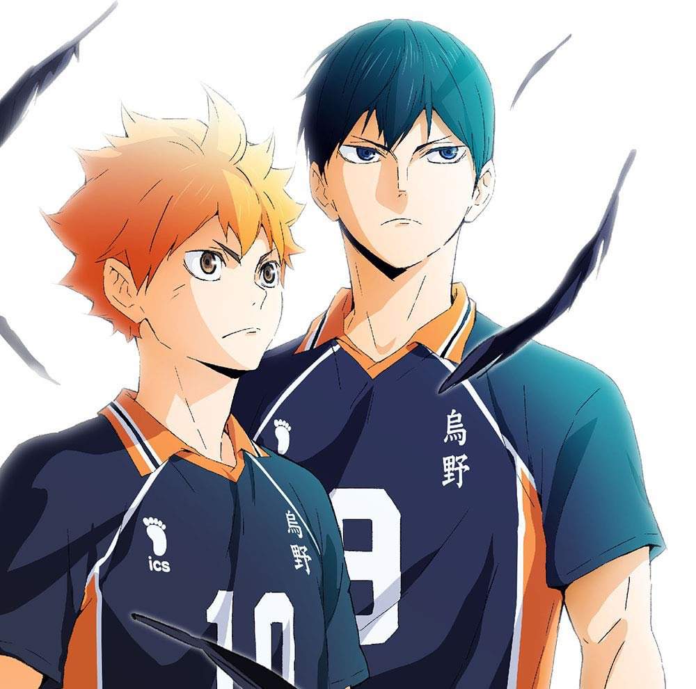 Haikyuu!!: To the Top ED Single | •Anime• Amino