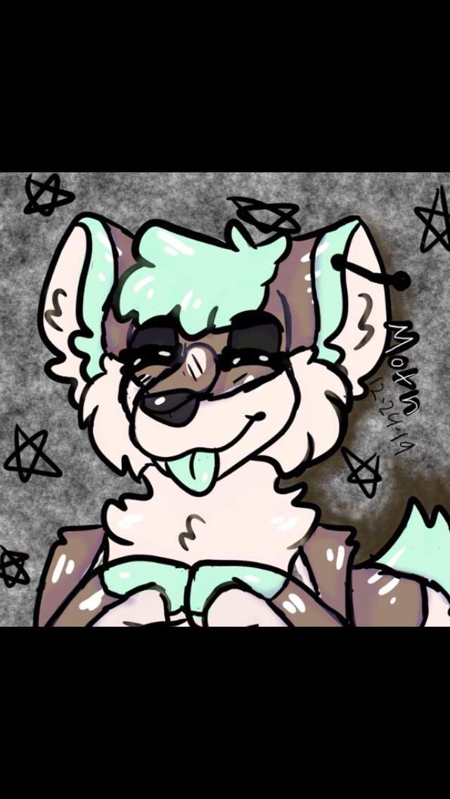 Bella | Wiki | Furry Amino