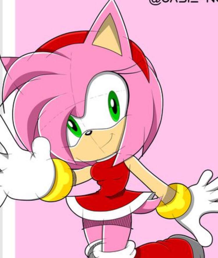 Amy Rose | Wiki | Sonic Frontier Amino