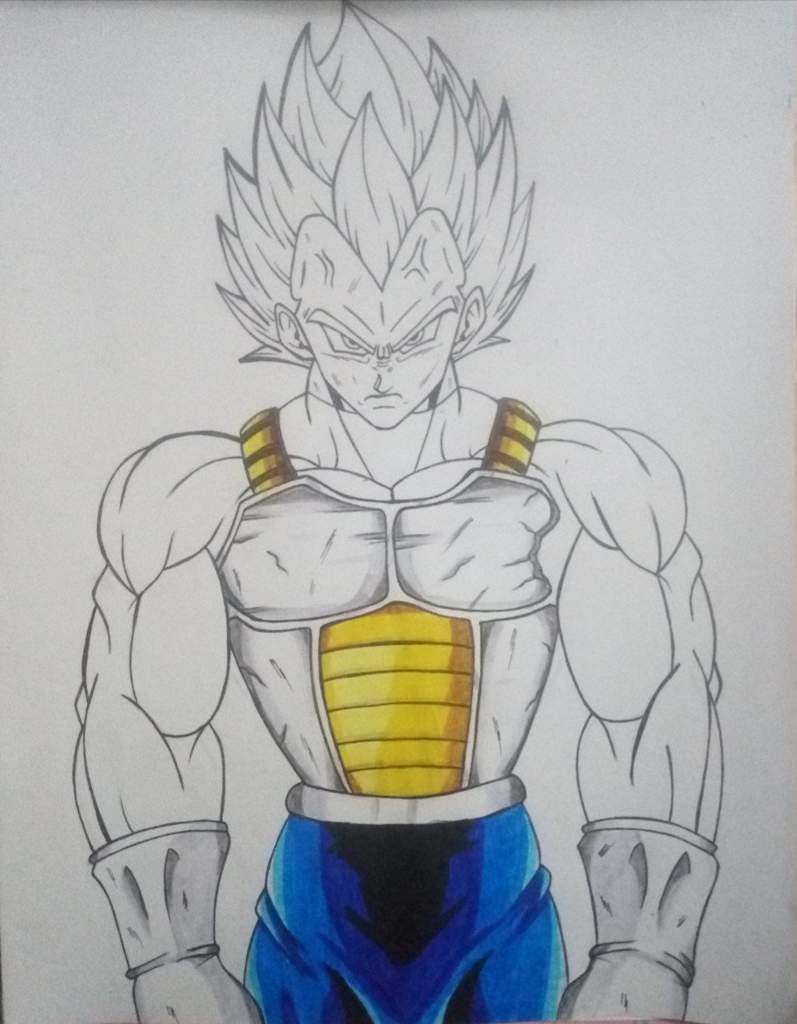 Drawing Vegeta Super Saiyan Blue Evolution | DragonBallZ Amino