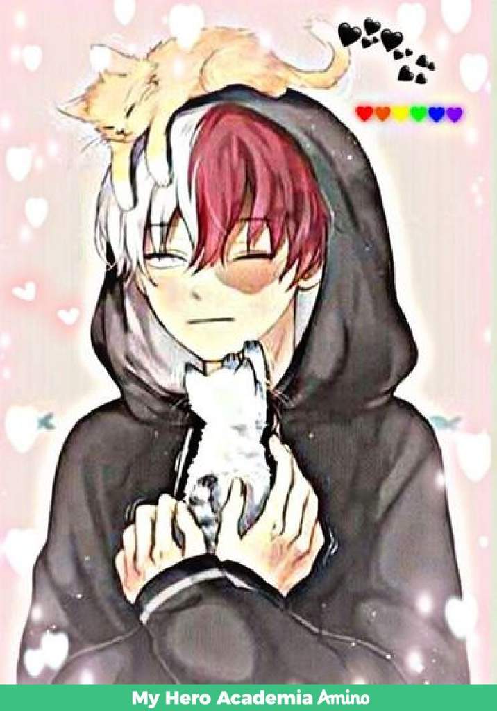 🔥shoto todoroki (neko)(cute) | My Hero Academia Amino