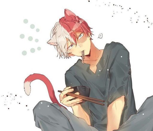 todoroki shoto(neko) | Boku No Hero Academia Amino. Amino