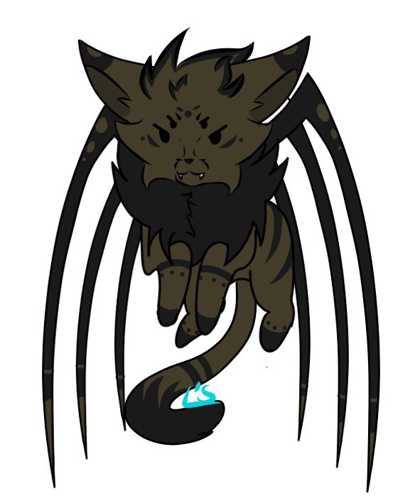 Spider cat | Art Amino