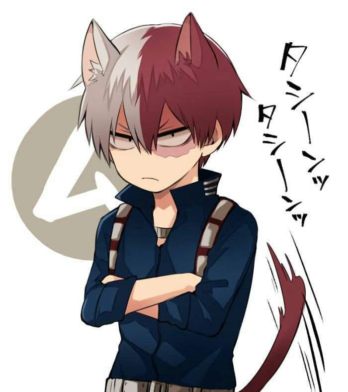 todoroki shoto(neko) | Boku No Hero Academia Amino. Amino