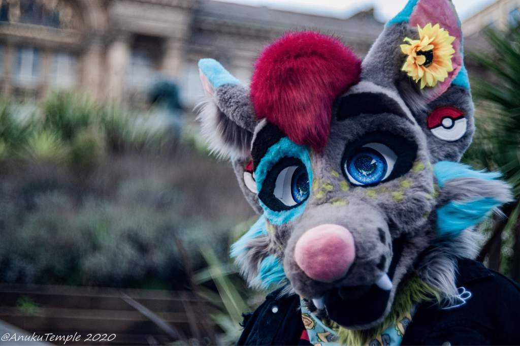 Birmingham, UK Furmeet Jan 2020 | Furry Amino