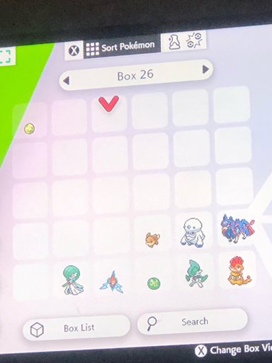 Looking For Shiny Goldeen Pokemon Sword And Shield Amino