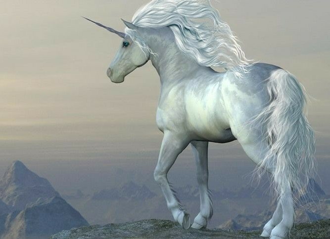 Unicornios Reales Origen Historia Magia Mitologa