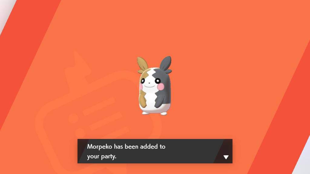 Shiny Morpeko! | Pokémon Amino