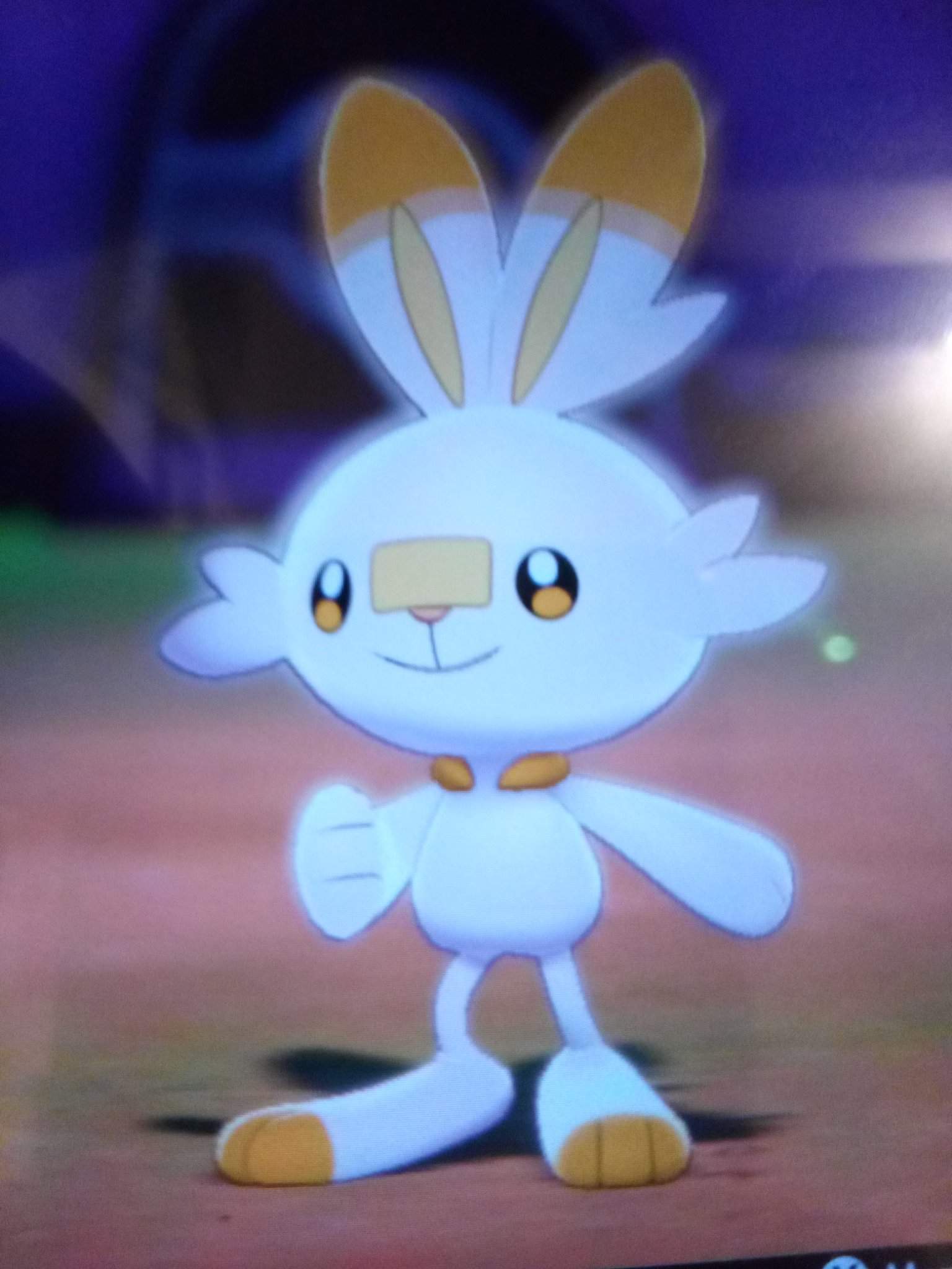 Shiny scorbunny kicks the ball | Shiny Pokemon Amino Amino