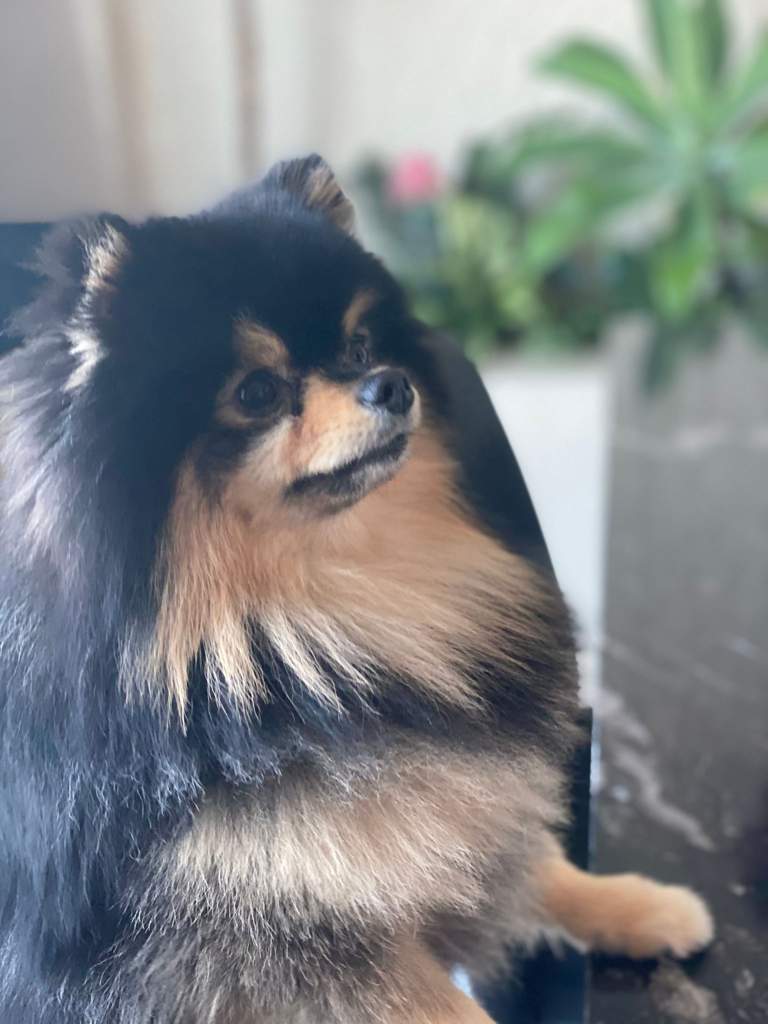 Kim Yontan Kim Yeontan 김 연탄 Bts Amino