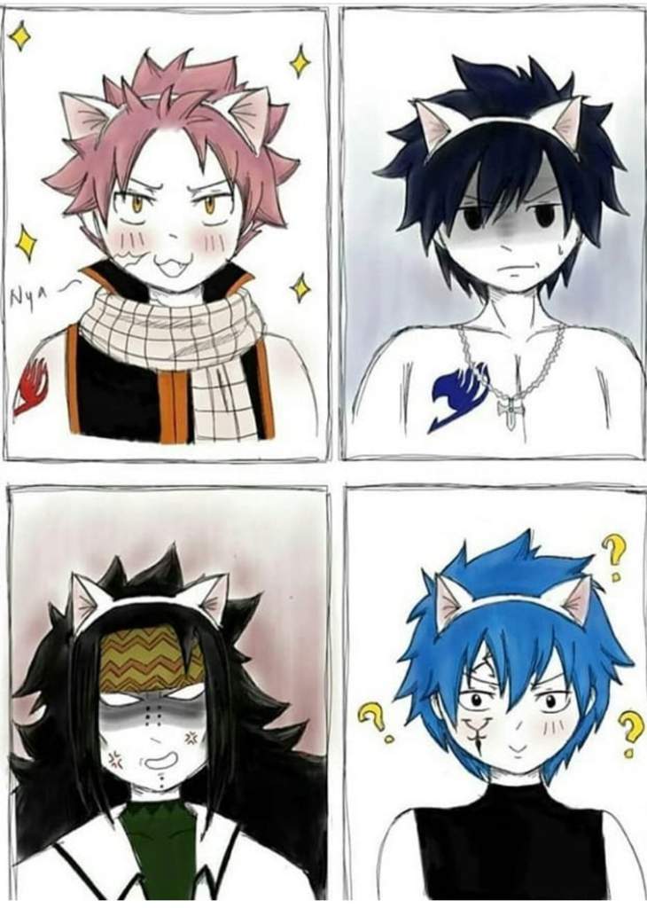 Nekos •Fairy Tail Eden's Zero• Amino