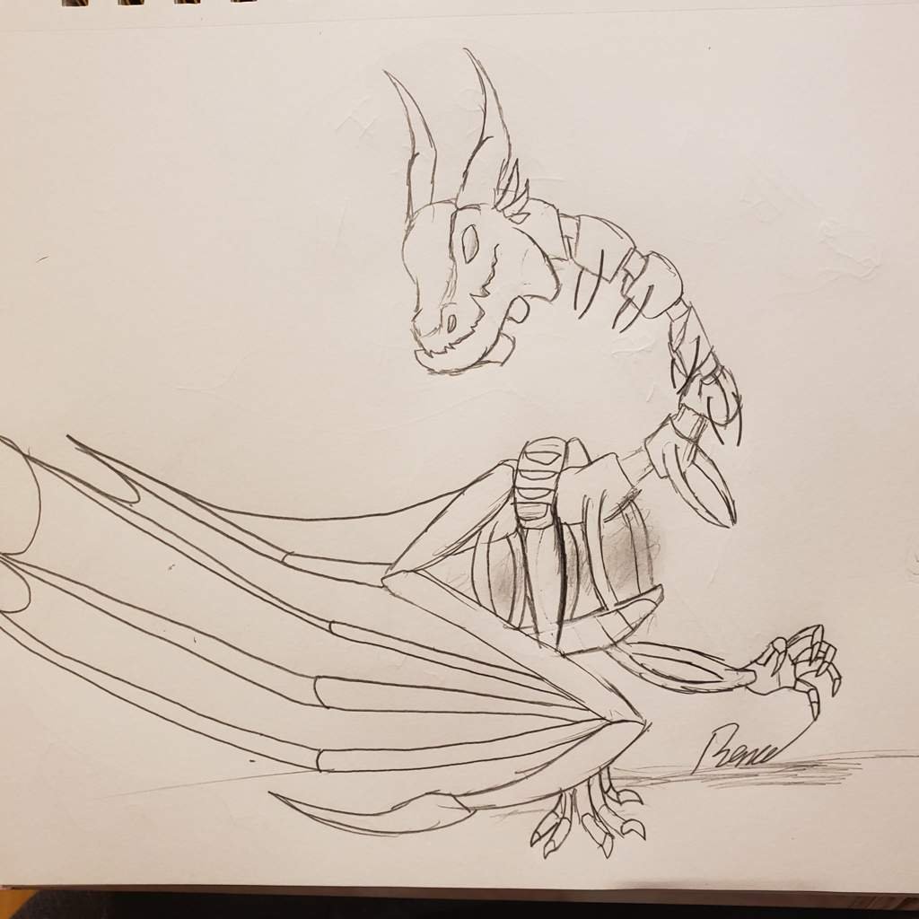 Dragon art dump | Roblox Dragon Adventures Amino