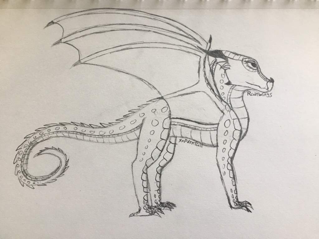 Rainwing (full body) sketch | Wings Of Fire Amino