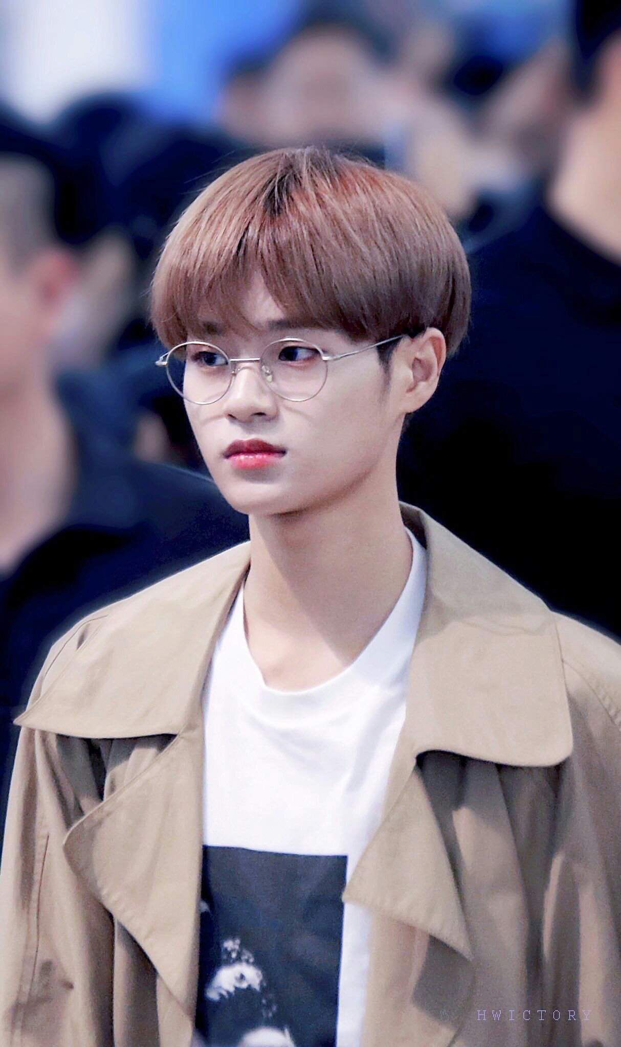 Happy birthday Daehwi | Wiki | K-Pop Boy Groups Amino