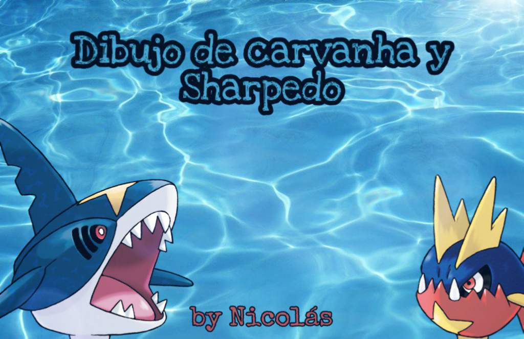 B20dibujo De Carvanha Y Sharpedo 💛pokémon Español Amino💛 Amino