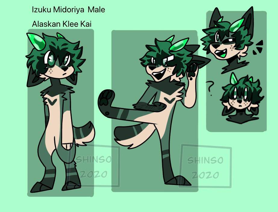 Deku dog oc | My Hero Academia Amino