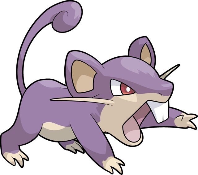 Realistic Rattata | Pokémon Amino