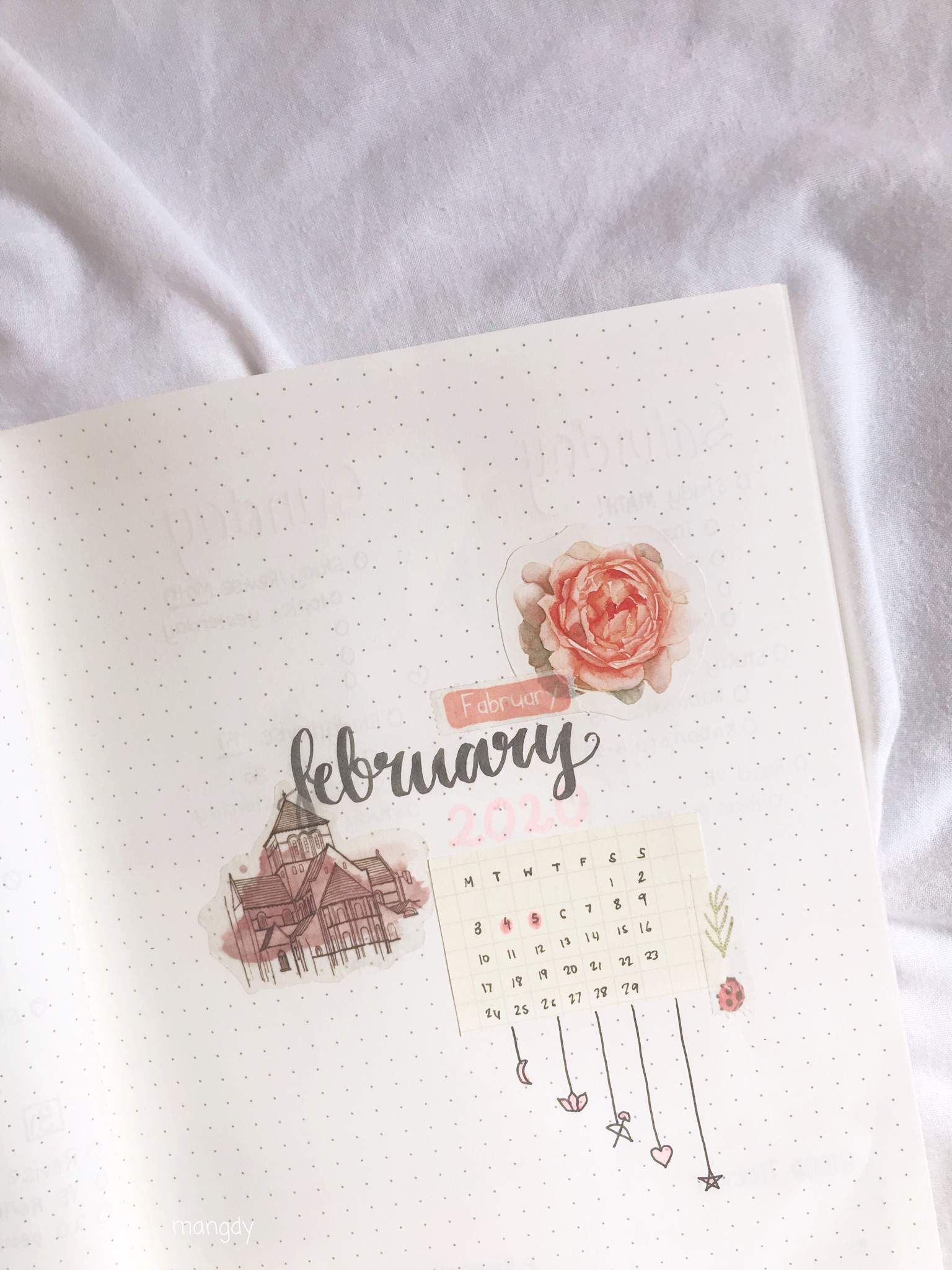 Bujo February Spread 🌷 | Studying Amino Amino