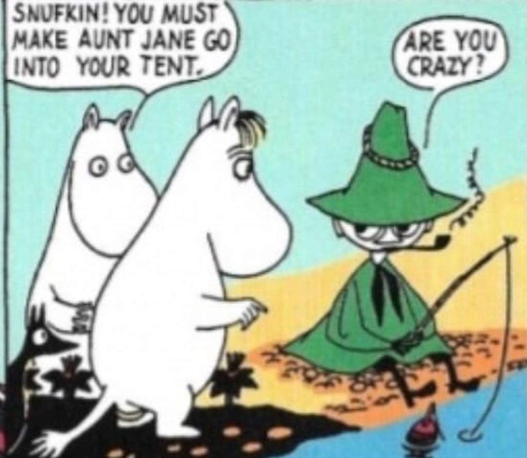 moomins-amino-amino