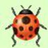 amino-Ladybug-5d323fc3