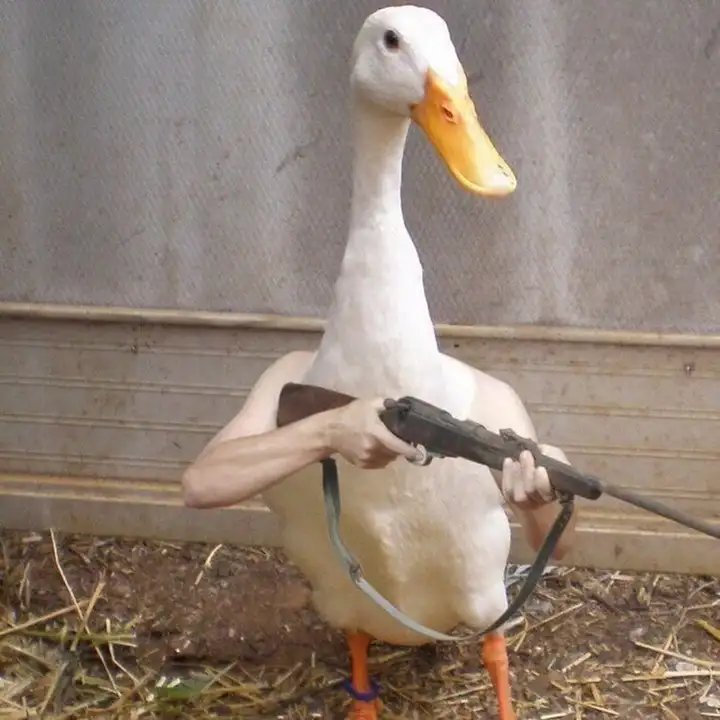 Scp-666-A | Wiki | SCP: The Breach | Нарушение Amino