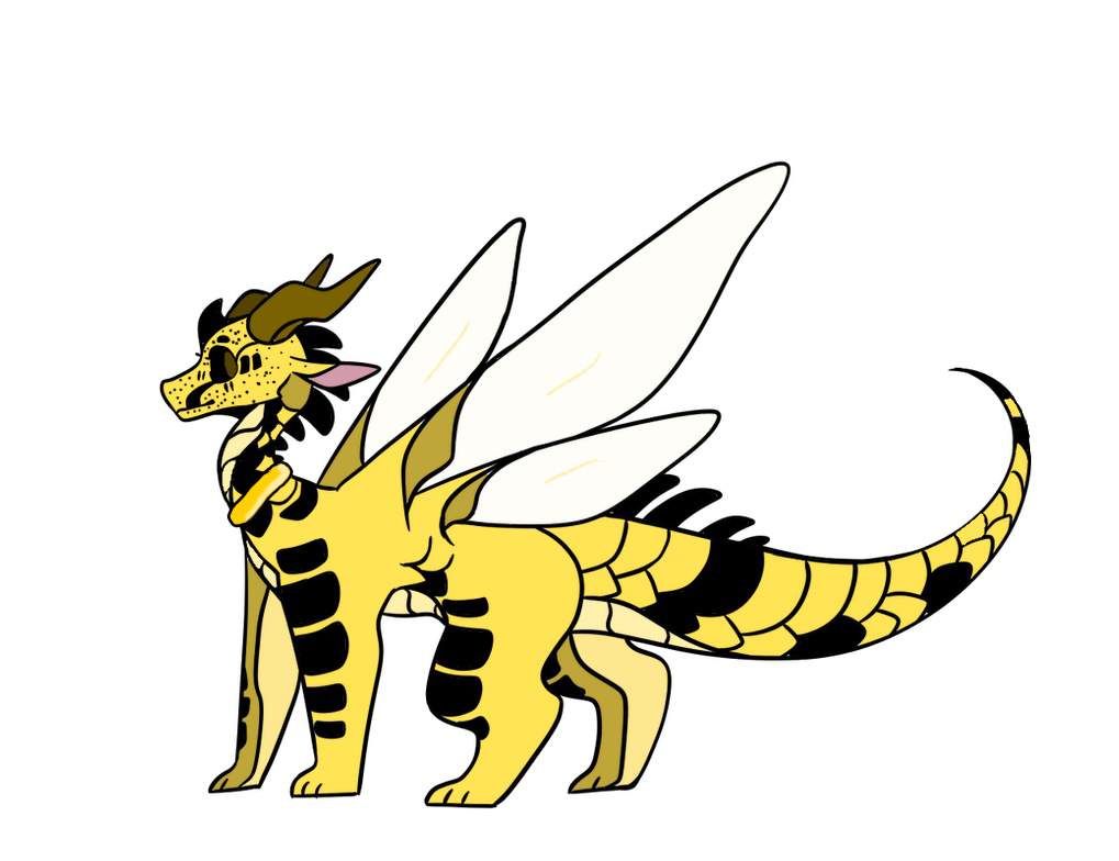 Calphelias The Silk Mud Hybrid (School Sadly) | Wings Of Fire Amino