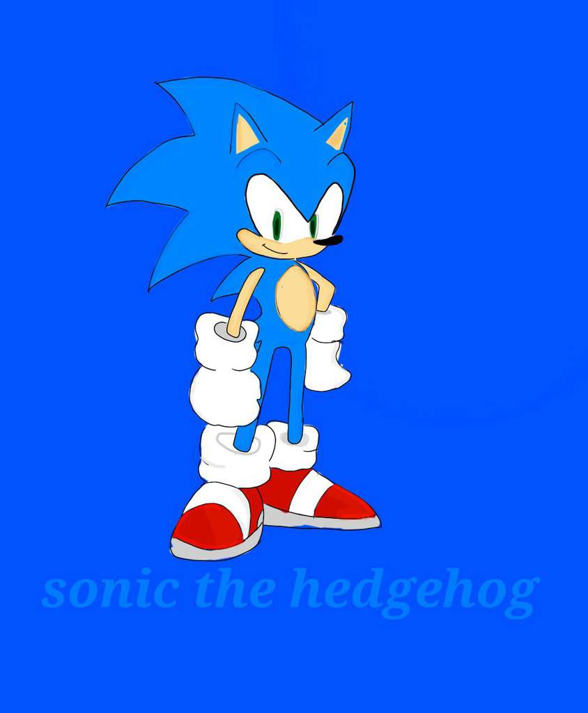 New profile | Sonic the Hedgehog! Amino