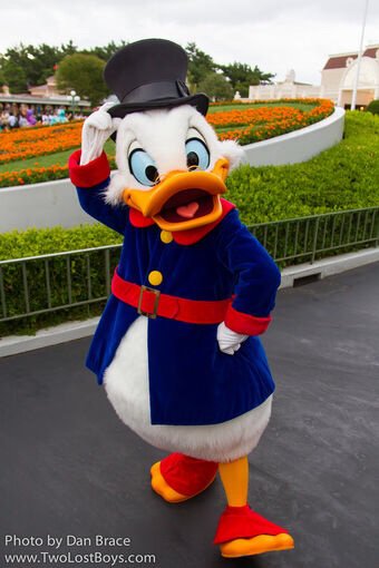 𝘚𝘤𝘳𝘰𝘰𝘨𝘦 𝘔𝘤𝘋𝘶𝘤𝘬 Wiki Disney Amino - scrooge mcduck cane roblox