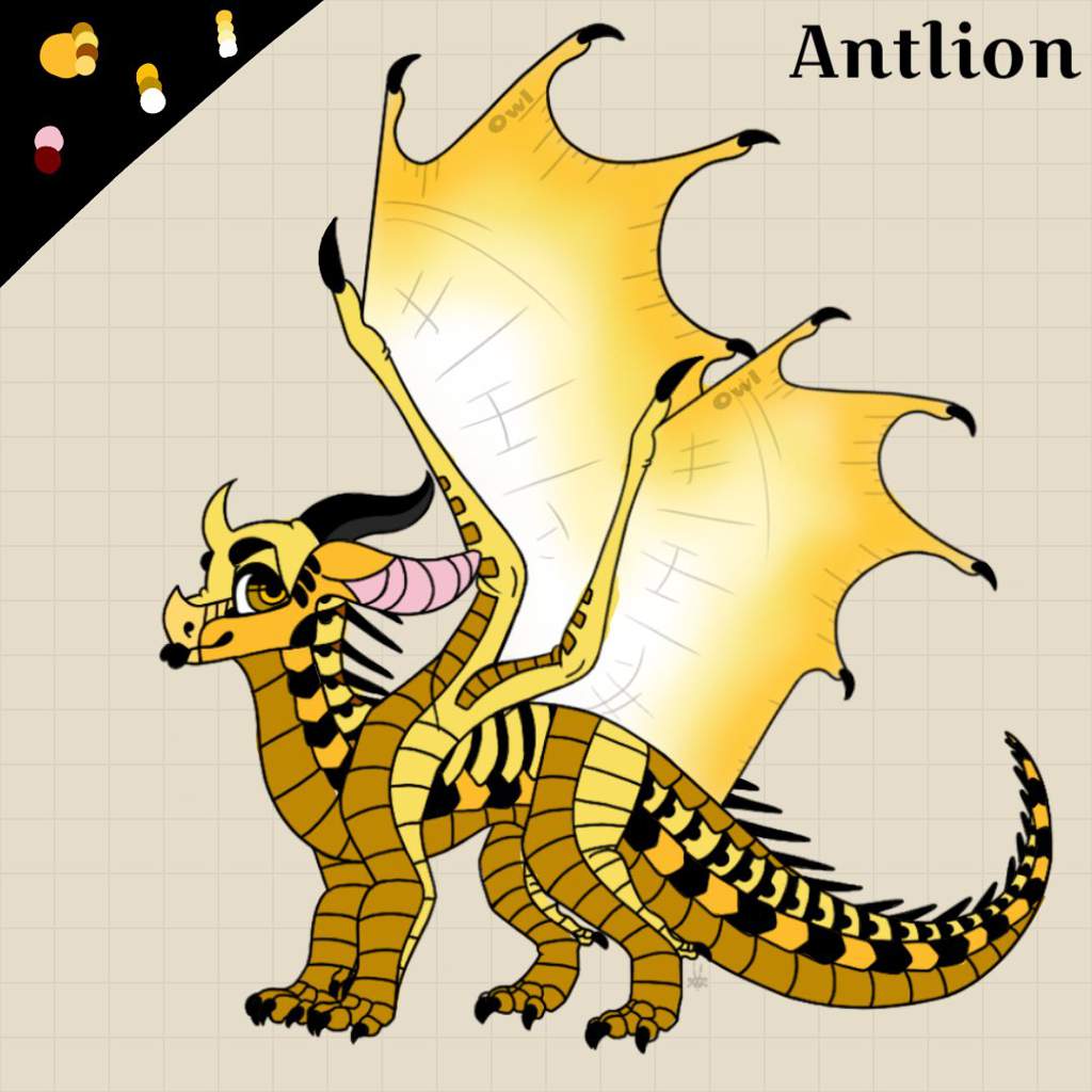 Antlion |·|° | Wiki | Wings Of Fire Amino