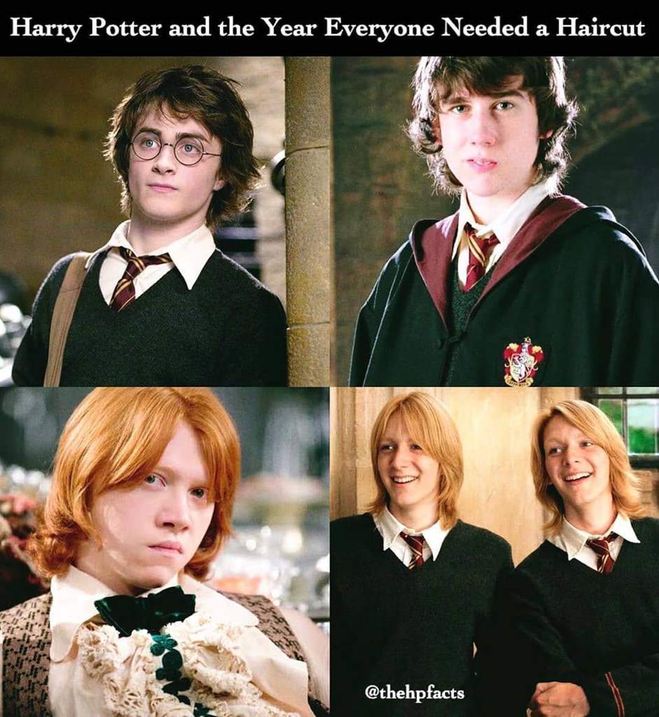 HARRY POTTER AND THE YEAR EVERYONE NEEDED A HAIRCUT .Just joking😅😂 ...