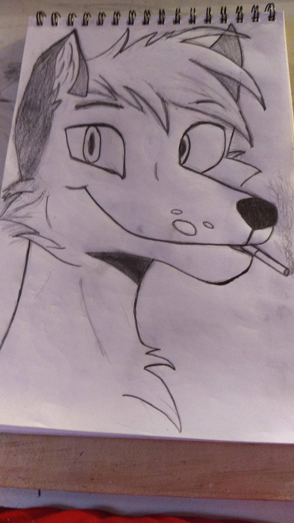 Dibujo de un Furry lobo | •Dibujos y Animes• Amino