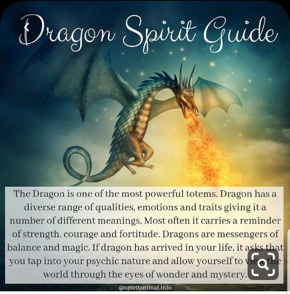 Dragon Spirit Guide | Lightworkers & Incarnates Amino