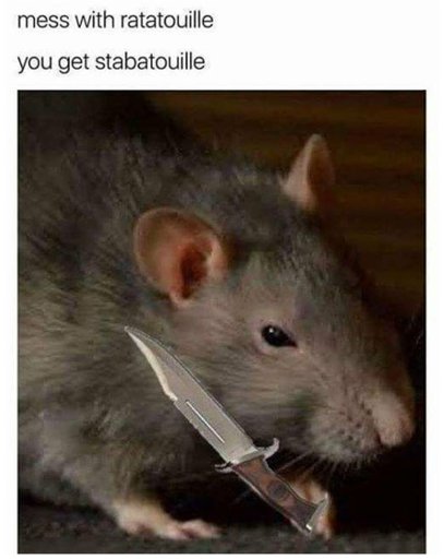 Featured | Ratatouille Memes Amino