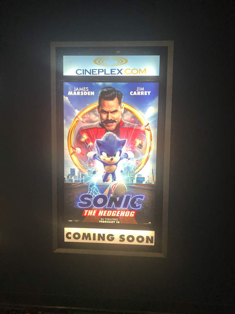 sonic the hedgehog cineplex