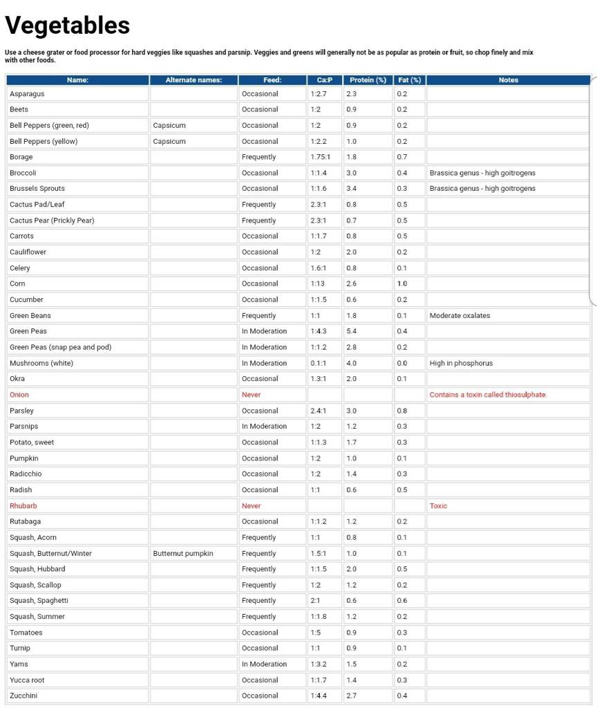 Diet Guide for Blue Tongue Skinks Wiki Reptiles Amino