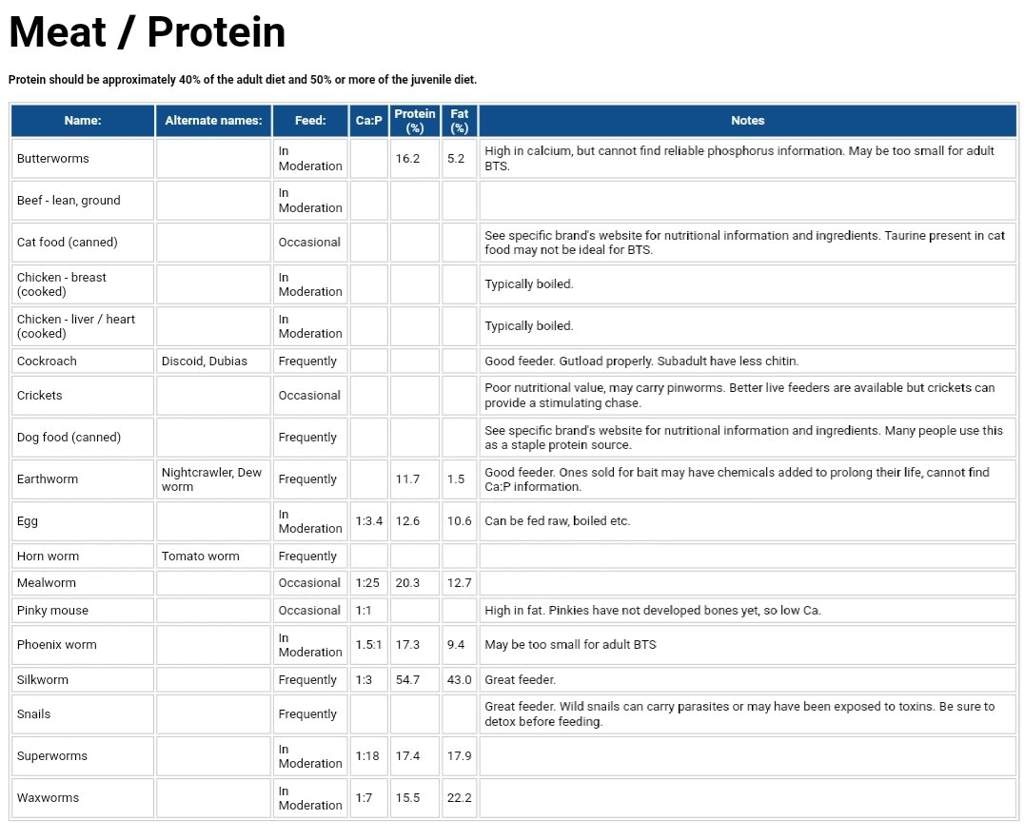 Diet Guide for Blue Tongue Skinks Wiki Reptiles Amino