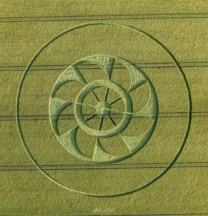 Crop Circle Light Language? | Starseeds Amino