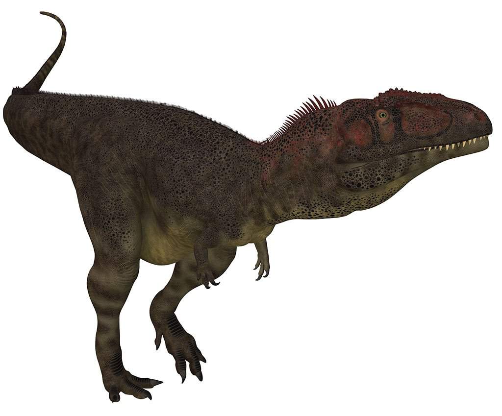 Заурофаганакс. Mapusaurus roseae. Заурофаганакс Планета динозавров. Мапузавр Планета динозавров.