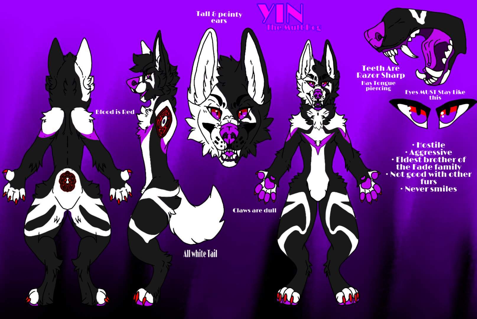 Yin Fade ( Second Fursona +2.0 ) | Wiki | Furry Amino