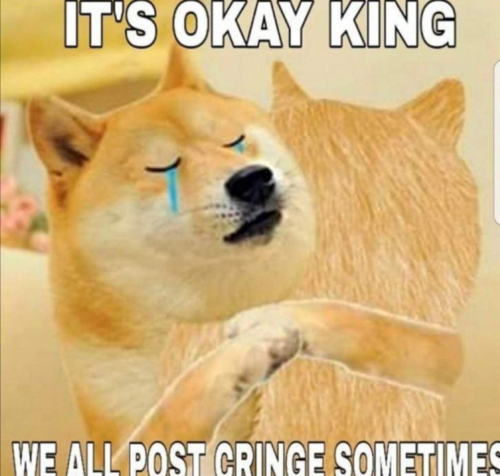 Out of context and stolen doge memes | Memes Amino