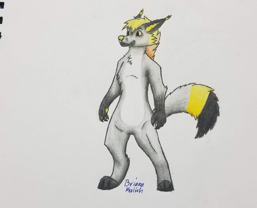 Lemonade | Wiki | Furry Amino