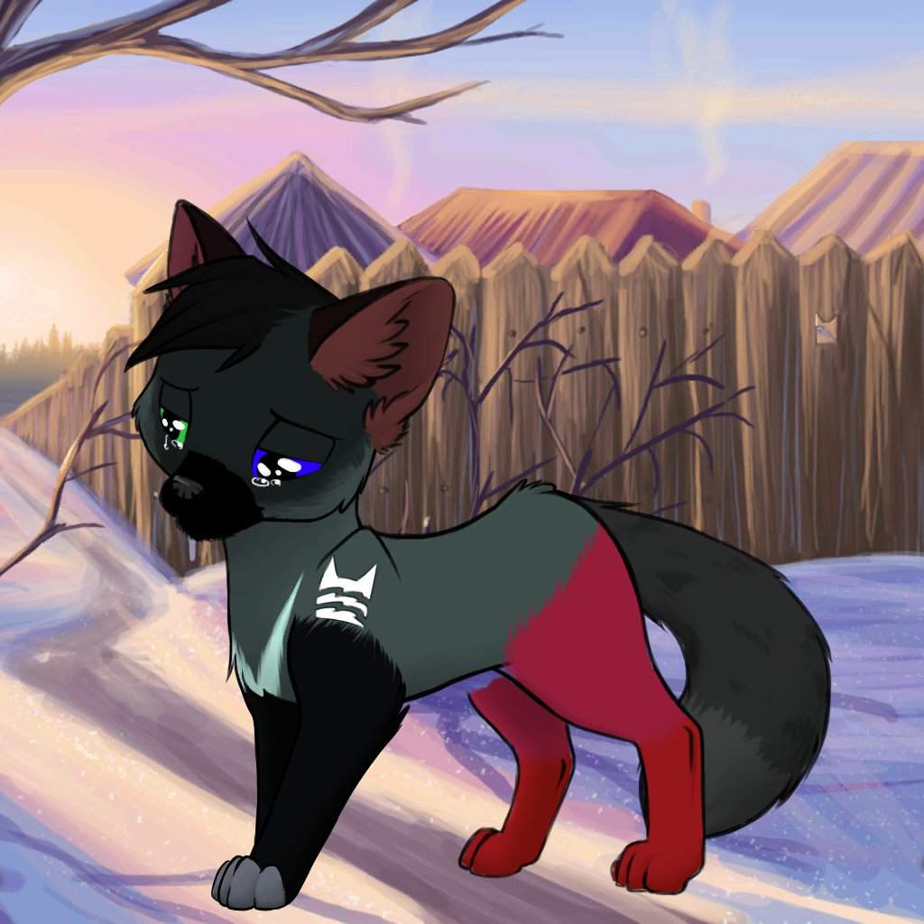 Ferret dog(thrushflight) | Warriors Amino